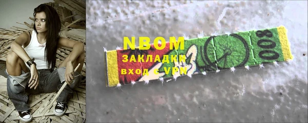 прущие грибы Валуйки