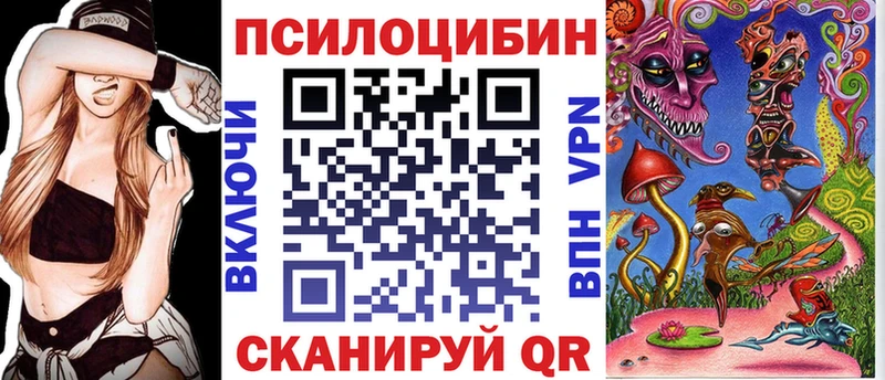 как найти Тихорецк Псилоцибиновые грибы прущие грибы