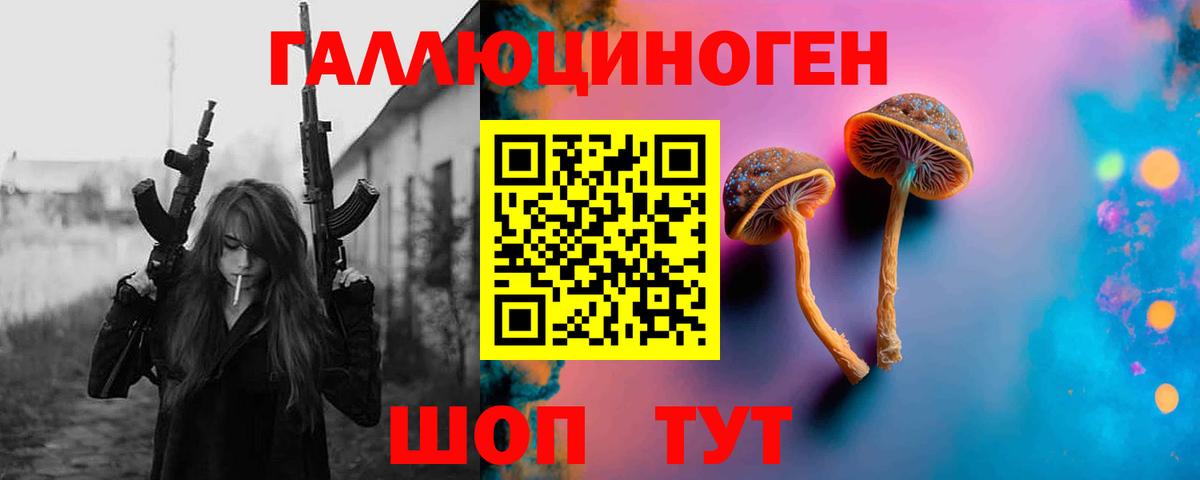 Тихорецк  Галлюциногенные грибы Psilocybe  продажа наркотиков  Псилоцибиновые грибы ЛСД  Вход с VPN 